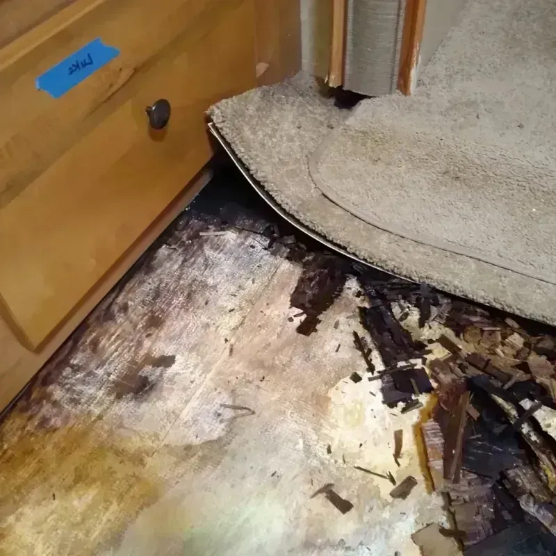 Best Wood Floor Water Damage Service in Tonawanda, NY